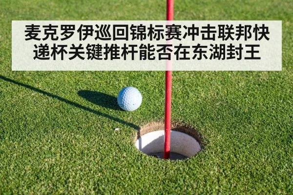 麦克罗伊巡回锦标赛冲击联邦快递杯关键推杆能否在东湖封王 | kaiyun